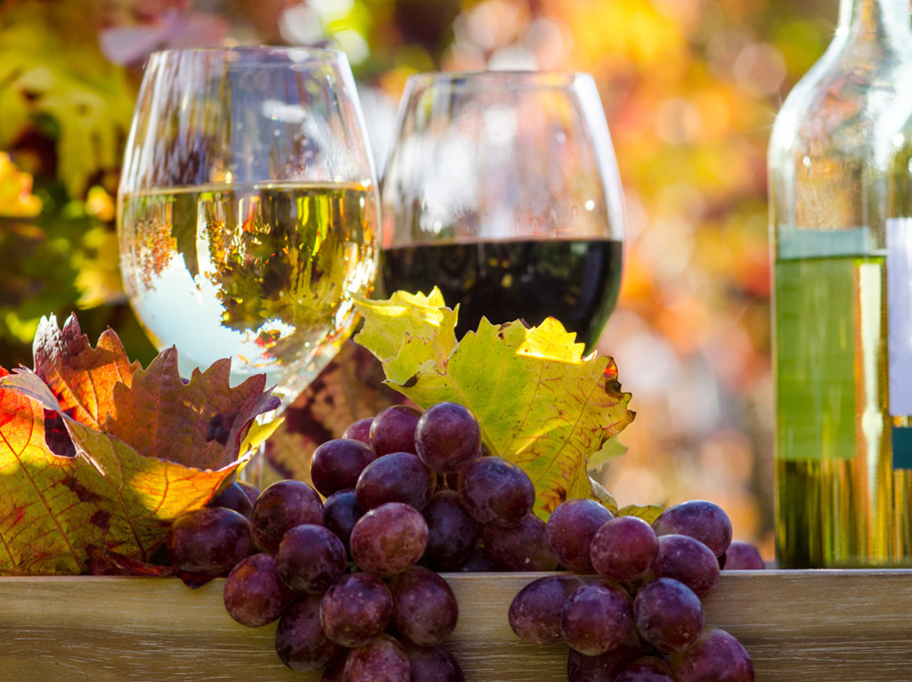 Genuss in der Pfalz: Weinprobe im Herbst :)