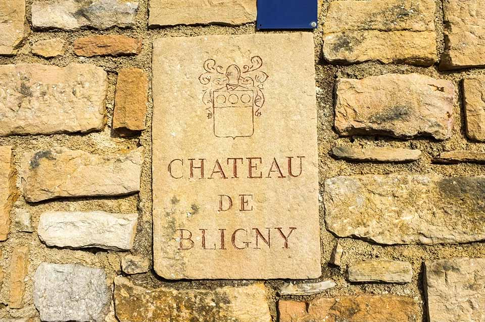 Chateau de Bligny Château de Bligny