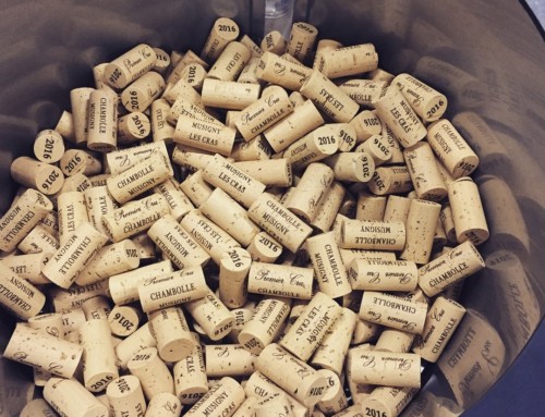 Mise en bouteille du millésime 2016
