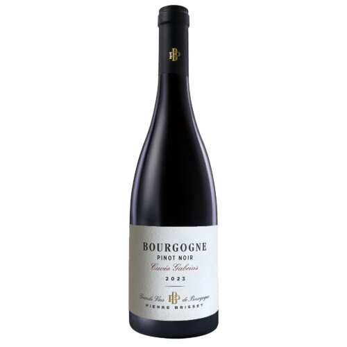 Bourgogne Pinot Noir Cuvée Gabrius 2023 - Pierre Brisset